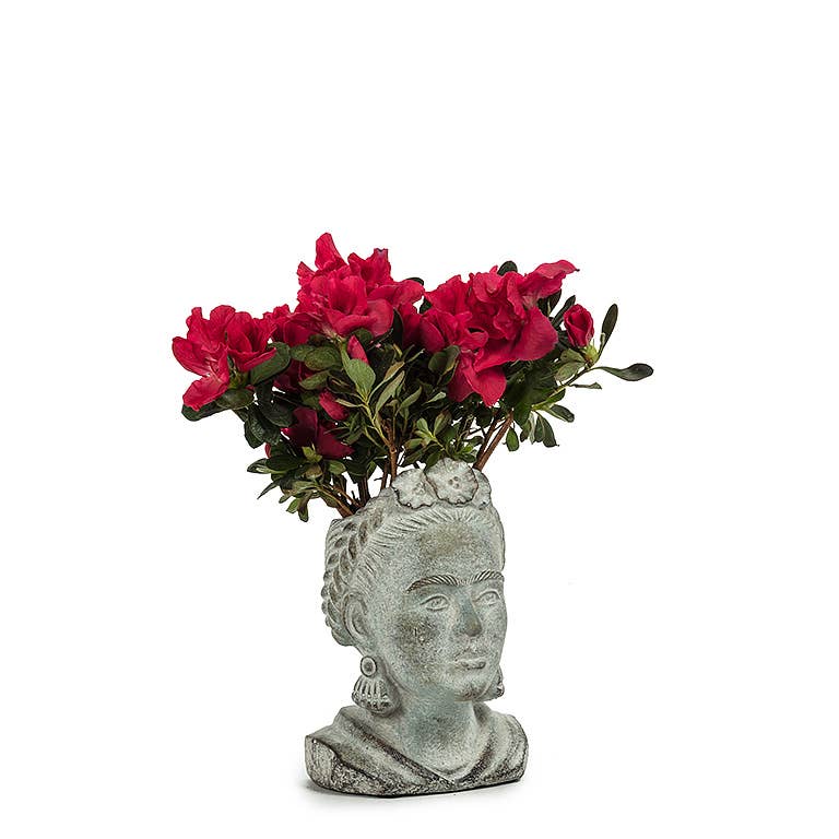FRIDA PLANTER