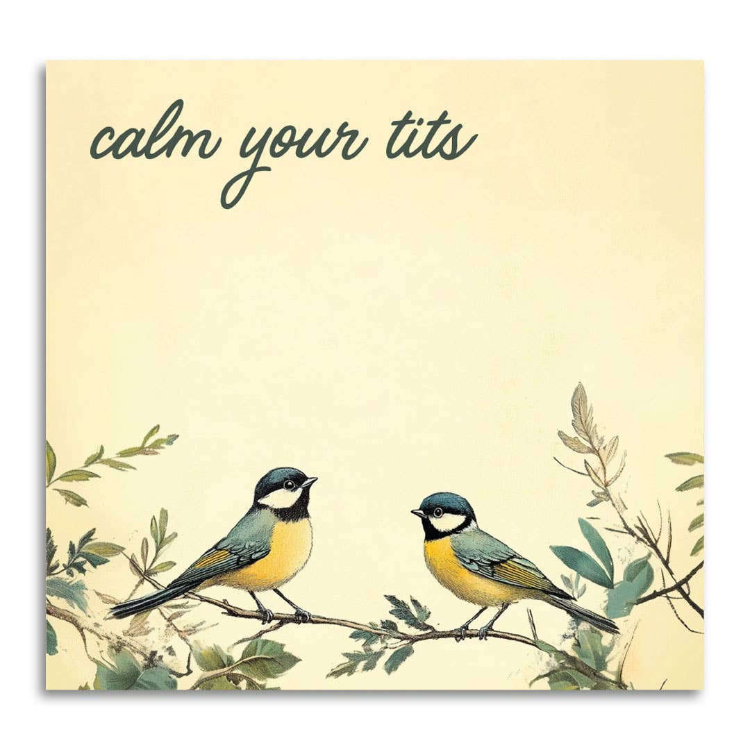 CALM YOUR TITS STICKY NOTE PAD
