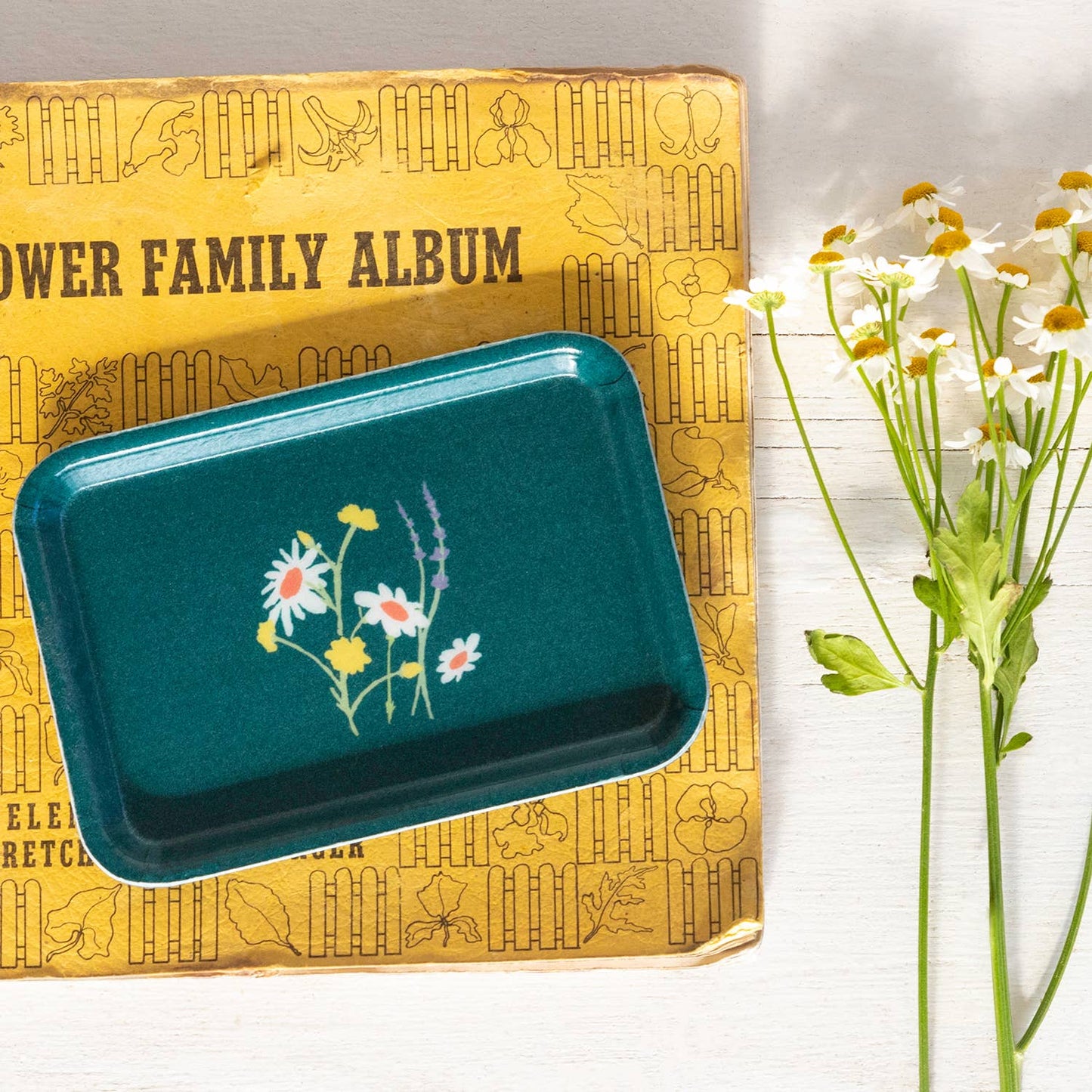 PRARIE SMALL TRINKET TRAY