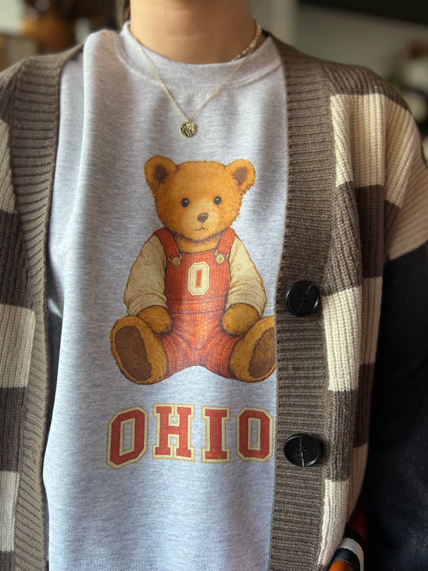 OHIO TEDDY BEAR