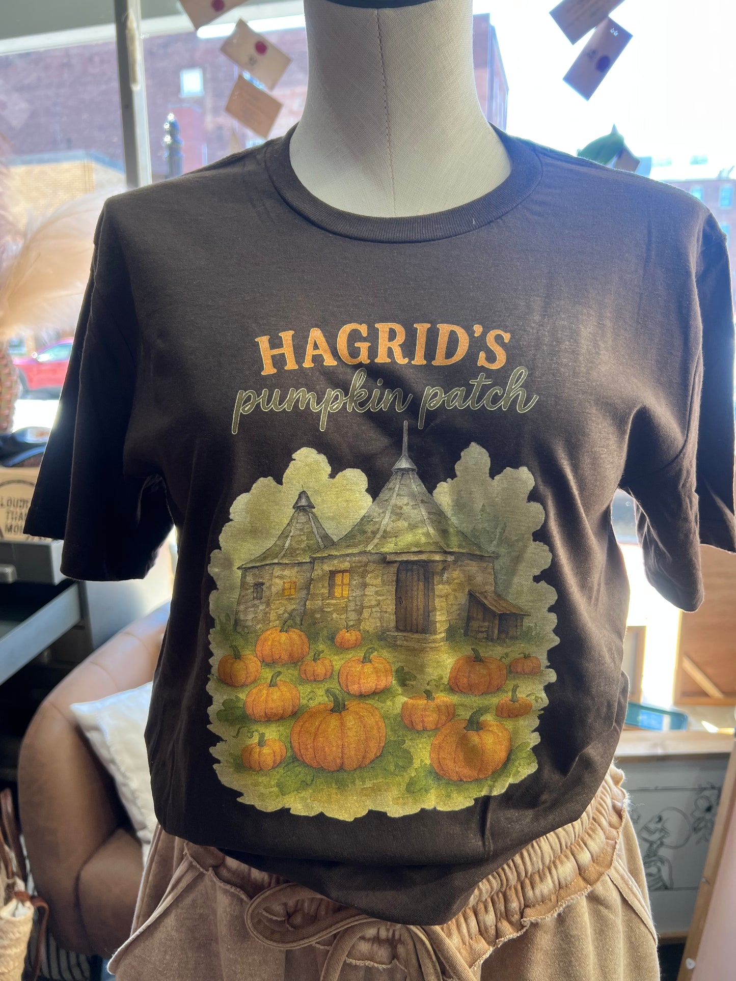HAGRID’S PUMPKIN PATCH