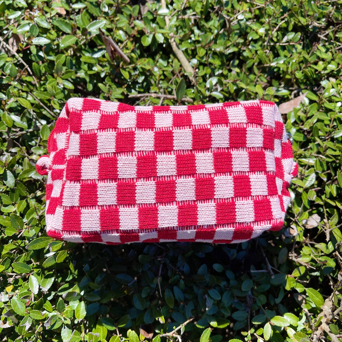 CHECK YOURSELF COSMETIC BAG