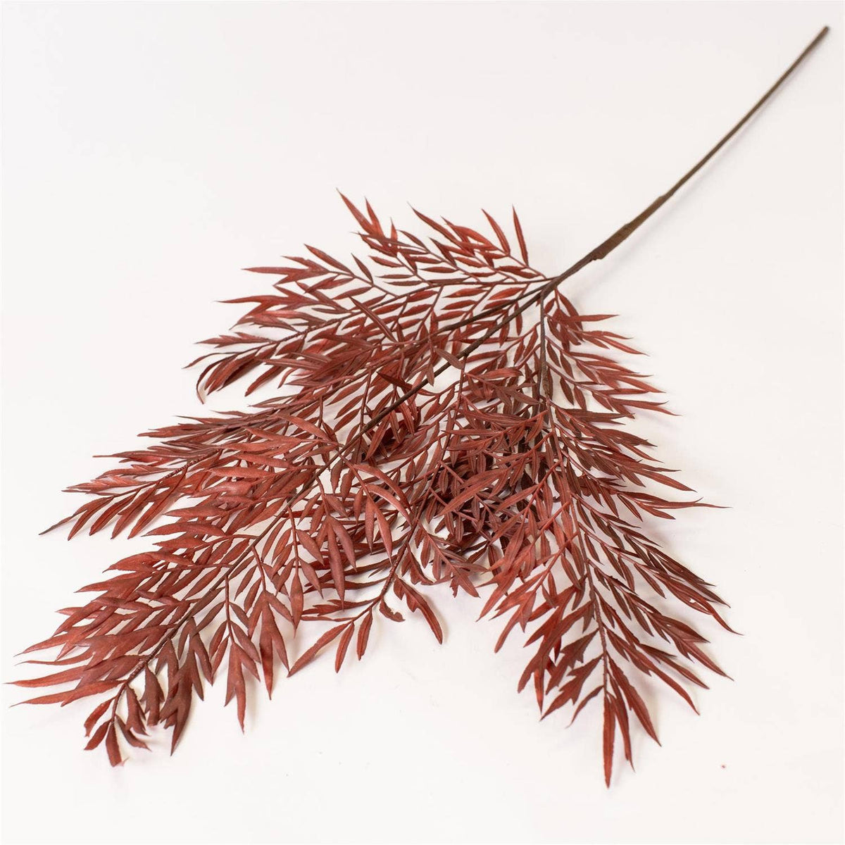 Audrey's Home & Gift - Stem - Fern Brown (PK/12)