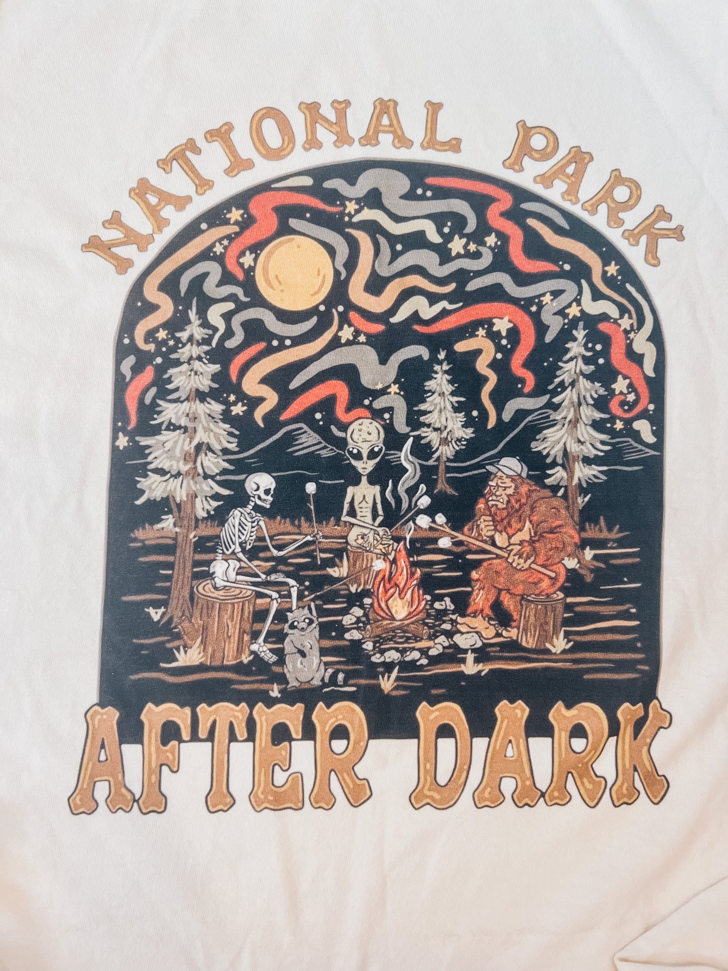 PARKS IN THE DARK TEE