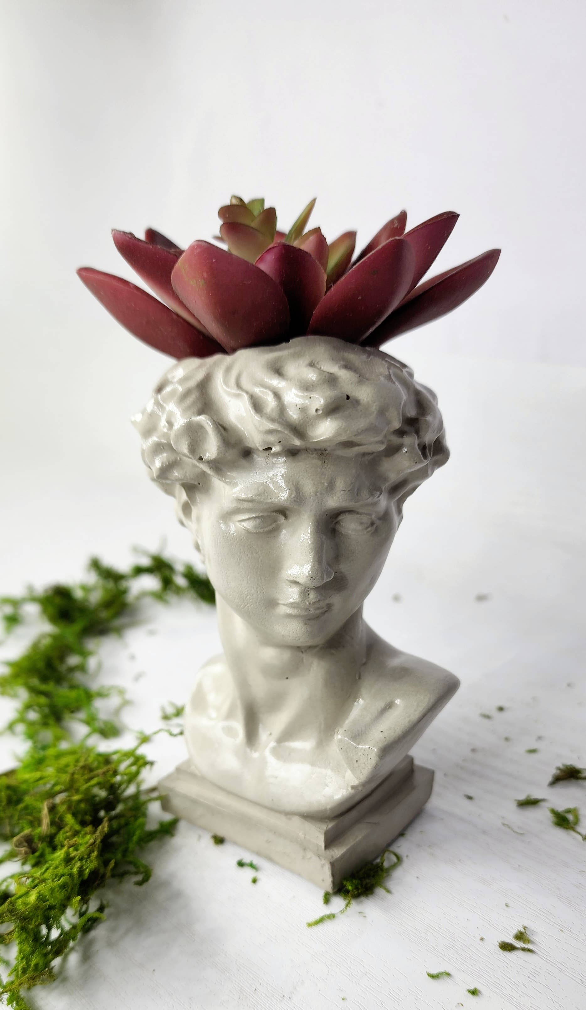potted plant sculpture Concrete Statue of David Head Pot | Bust Planter