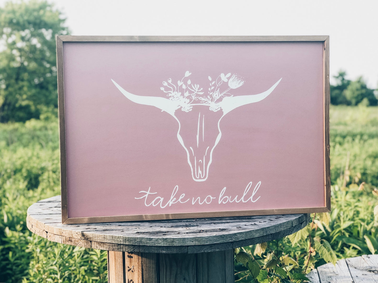 TAKE NO BULL