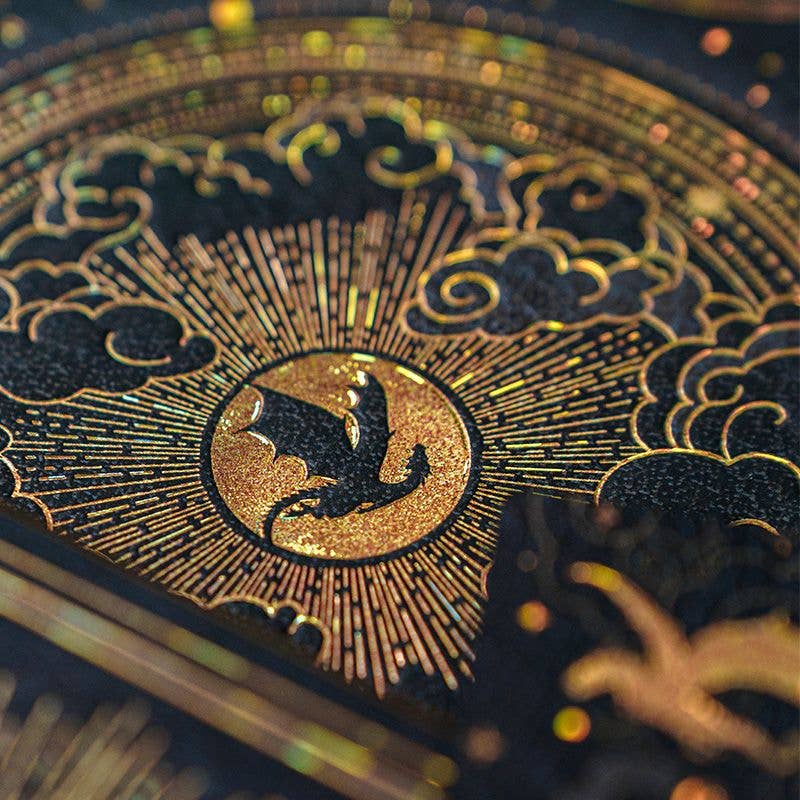 Chronicle Books - Paperblanks Shadows of Navarre Hardcover (Fourth Wing): Midi / Lined