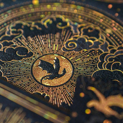 Chronicle Books - Paperblanks Shadows of Navarre Hardcover (Fourth Wing): Midi / Lined