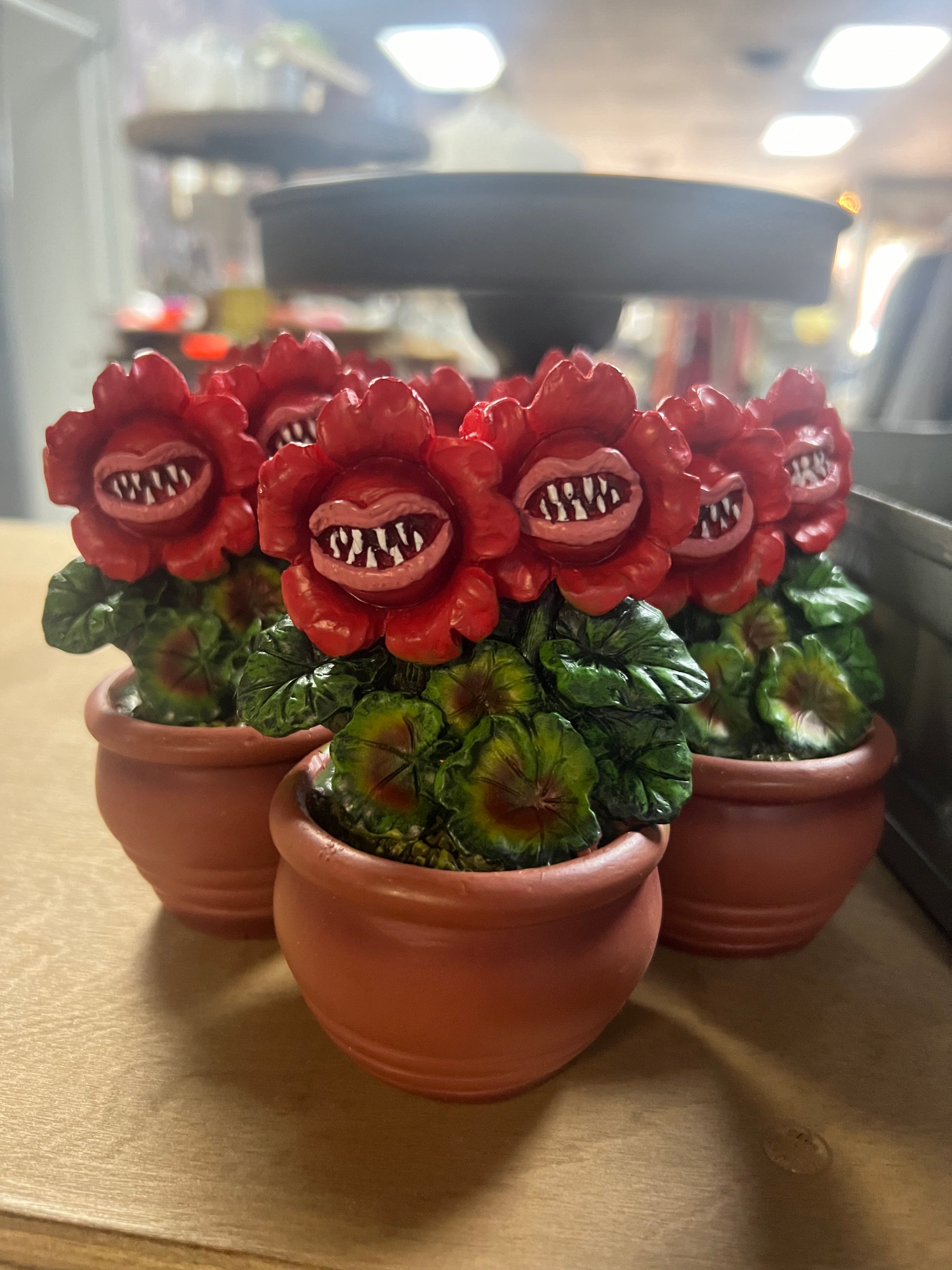 succulent monsters POTTED PLANT MONSTERS – Bushel & a Peck Reclaimed