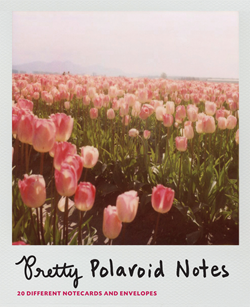 Chronicle Books - Pretty Polaroid Notes