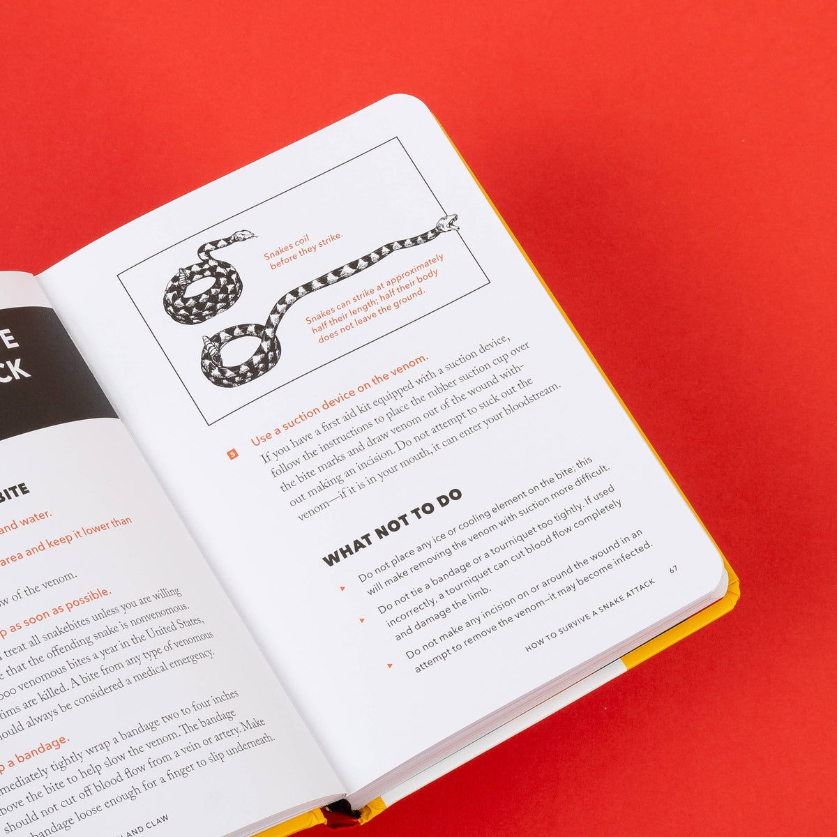 Chronicle Books - The NEW Worst-Case Scenario Survival Handbook