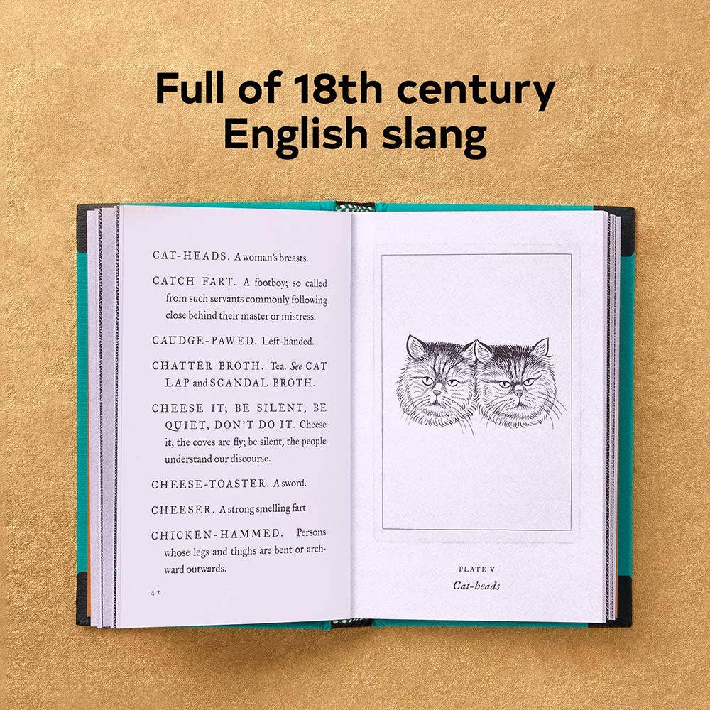 Chronicle Books - A Pocket Dictionary of the Vulgar Tongue
