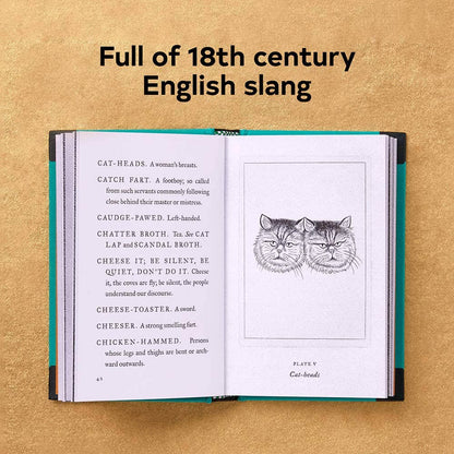 Chronicle Books - A Pocket Dictionary of the Vulgar Tongue