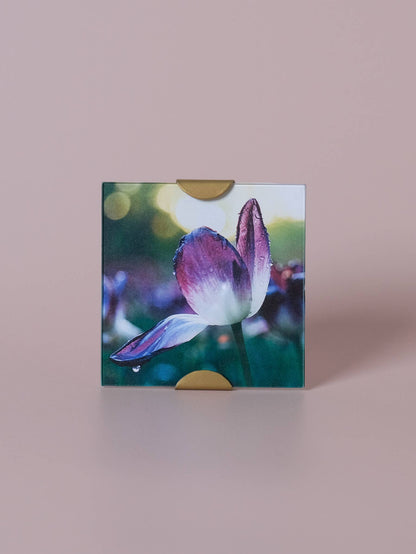 Made Market Co. - Scallop Frame 5X5