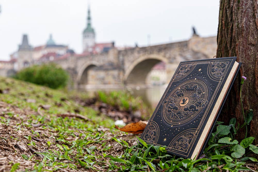 Chronicle Books - Paperblanks Shadows of Navarre Hardcover (Fourth Wing): Midi / Lined