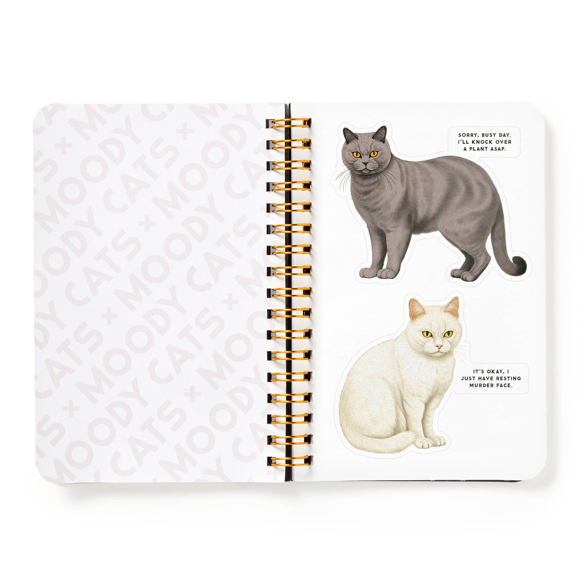 Chronicle Books - Brass Monkey Moody Cats Sticker Book