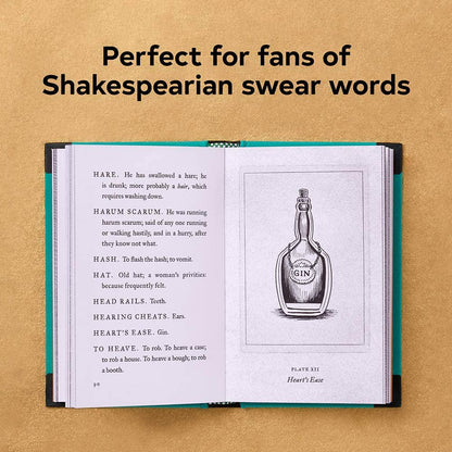Chronicle Books - A Pocket Dictionary of the Vulgar Tongue