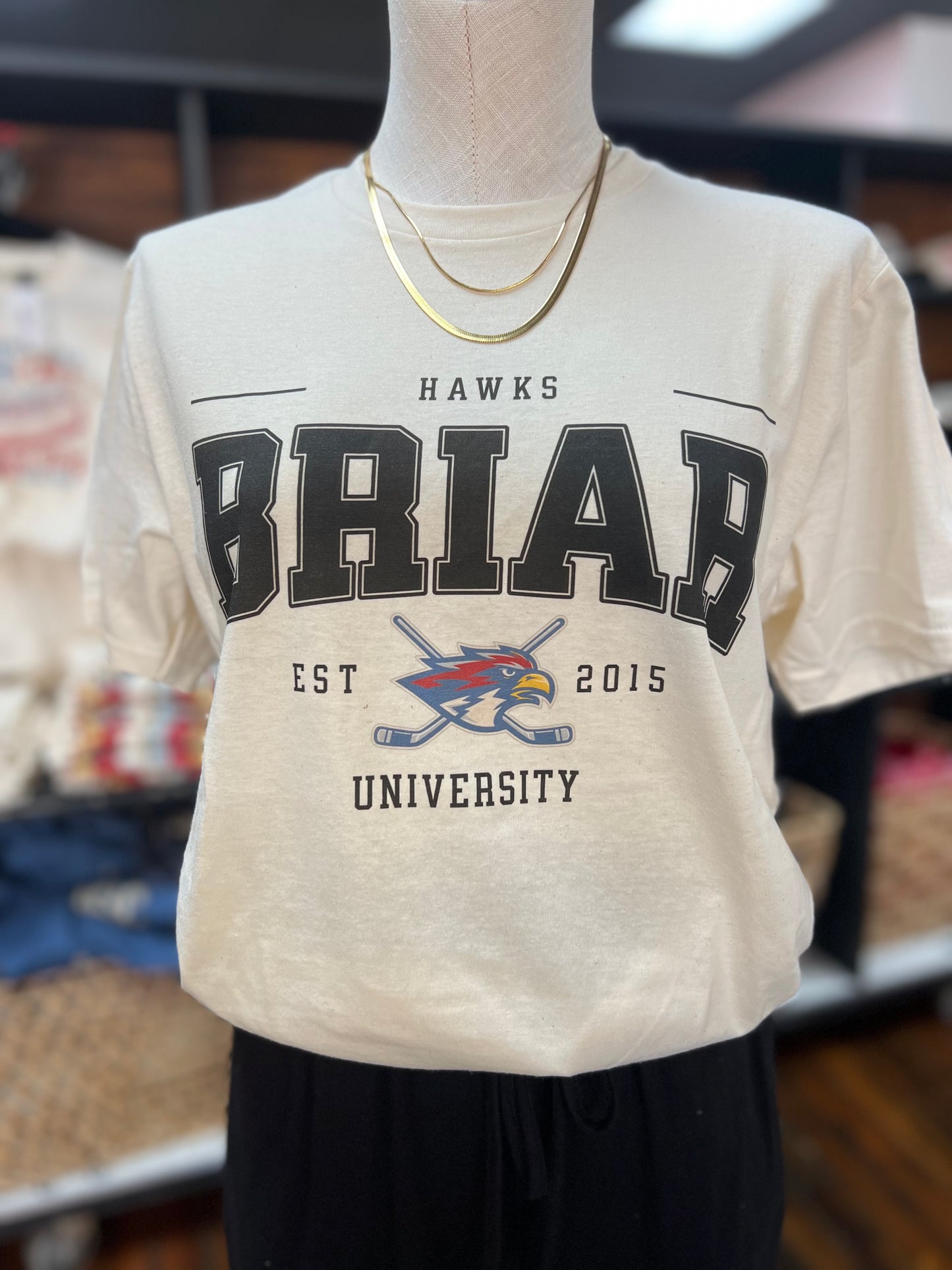 BRIAR UNIVERSITY