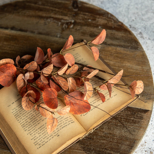 Ragon House - 19.5" ORANGE EUCALYPTUS & TWIG PICK
