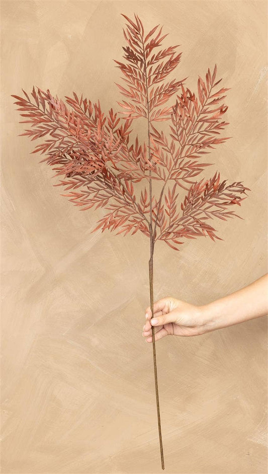 fern
