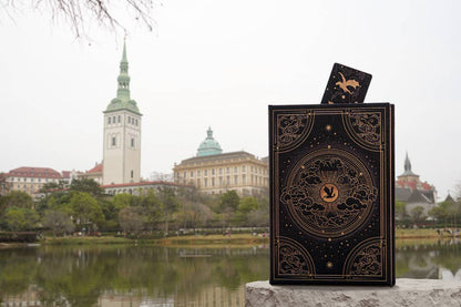 Chronicle Books - Paperblanks Shadows of Navarre Hardcover (Fourth Wing): Midi / Lined