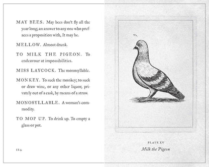 Chronicle Books - A Pocket Dictionary of the Vulgar Tongue