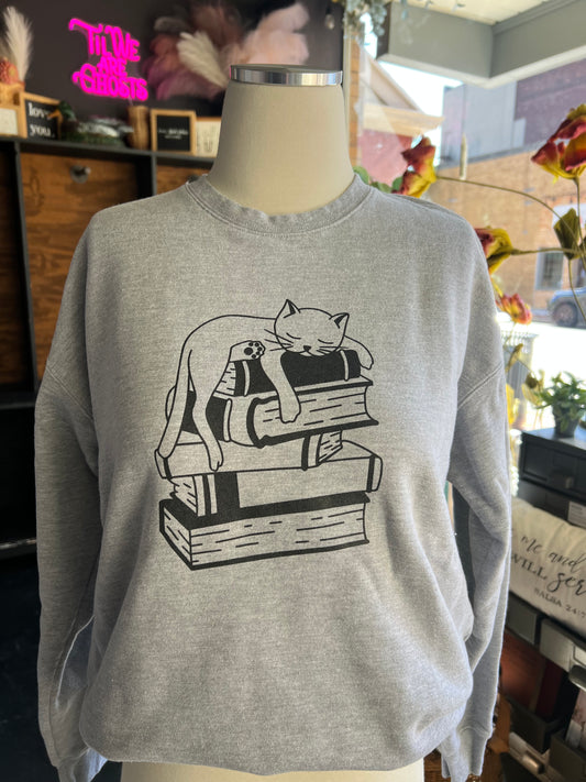 CAT ON BOOKS