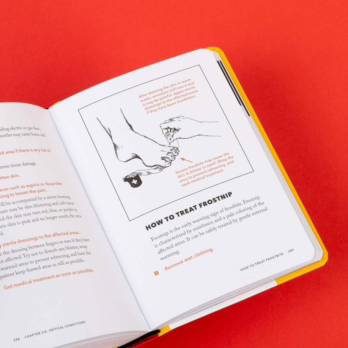 Chronicle Books - The NEW Worst-Case Scenario Survival Handbook