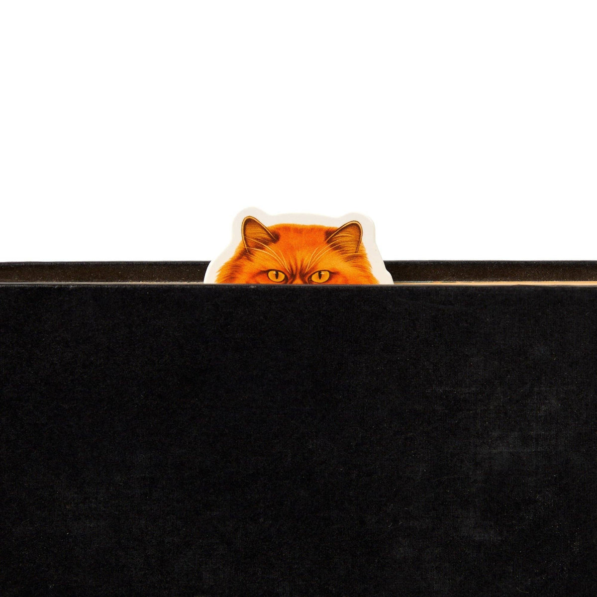 Chronicle Books - Brass Monkey Moody Cats Magnetic Bookmark Set