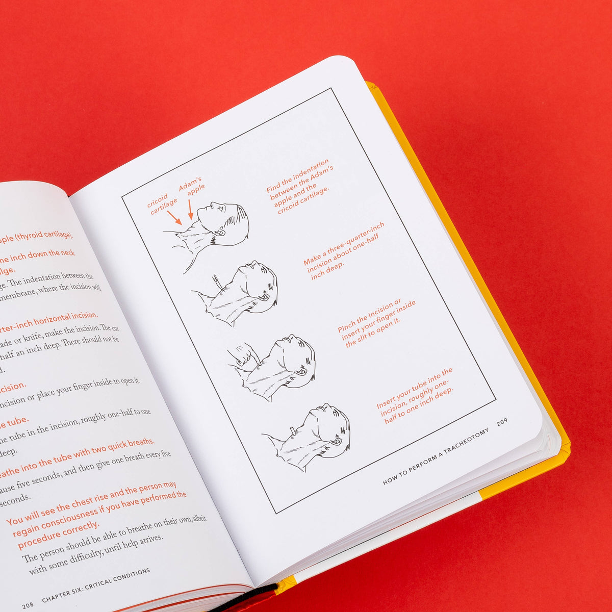Chronicle Books - The NEW Worst-Case Scenario Survival Handbook