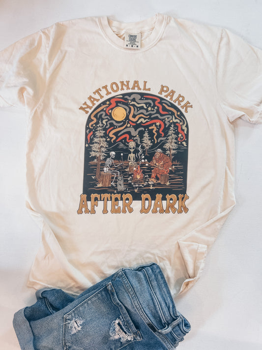 PARKS IN THE DARK TEE