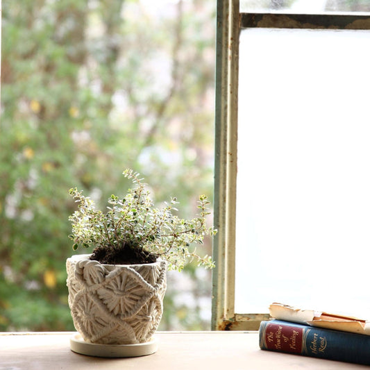 Macrame Cement Planter Small