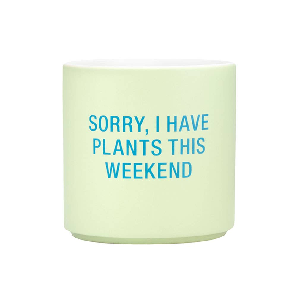 SORRY I HAVE PLANTS THIS WEEKEND PLANTER