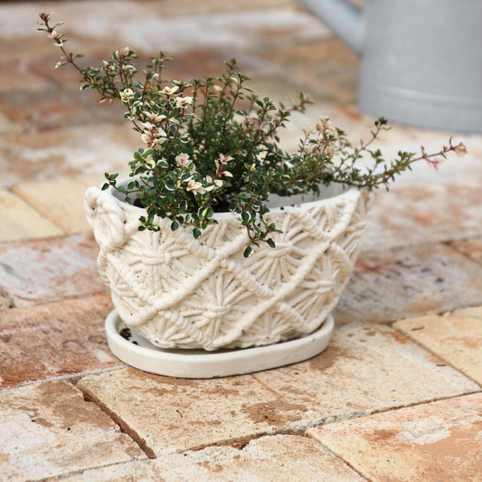 MACRAME CEMENT PLANTER OVAL